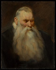 Study Head Of An Old Man With A White Beard — Sir Anthony Van Dyck