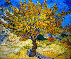 The Mulberry Tree — Vincent Willem Van Gogh, Post-impressionism