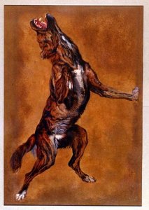 Chien Dressé — Alexandre-françois Desportes