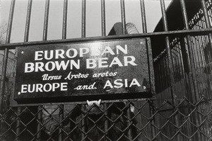 Central Park Zoo, New York City — Garry Winogrand