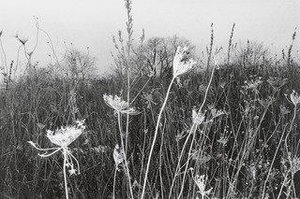Untitled (ashley, Pennsylvania) — Mark Cohen