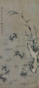 zhao ziyong