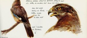 Untitled (178)