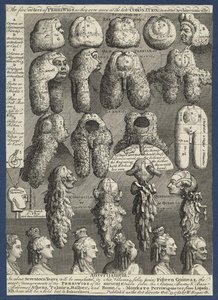The Five Orders Of Perriwigs — William Hogarth
