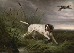 A Pointer — George Philip Reinagle