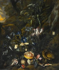 Forest Floor Still Life