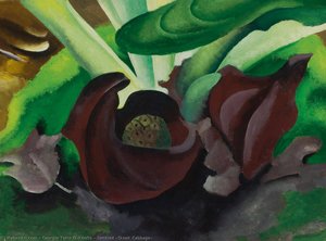 Untitled (skunk Cabbage) — Georgia O'keeffe
