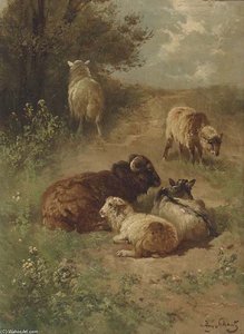 Sheep On A Sandy Track