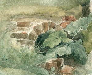 Study Of Foliage — David Cox