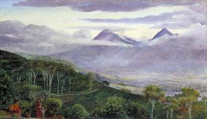 The Papandayang Volcano, Java, Seen From Mr Hölle's Tea Plantations — Marianne North