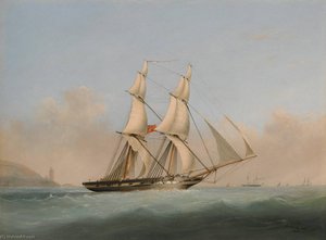 H. M. Brig Acorn And H. M. Brig Ranger — Nicholas Matthew Condy