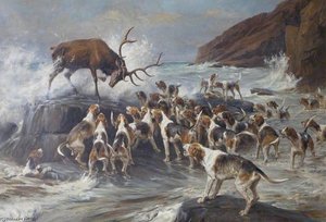 Stag At Bay On A Rocky Shore — Thomas Blinks