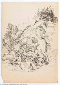 Roots And Trees — Joshua Charles Taylor