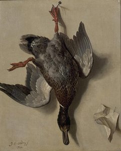 Canard colvert accroché à un mur Un canard mort (Ancien titre)