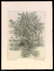 A Universe, State 2, From The Portfolio A Genesis — Gabor Peterdi
