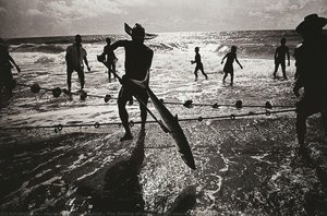 The Fishing Of Xaréu At The Beach Of Armação — Marie-françoise Bisiliat