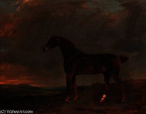 A liver chestnut in an extensive landscape