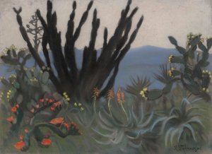 Cacti in Palermo