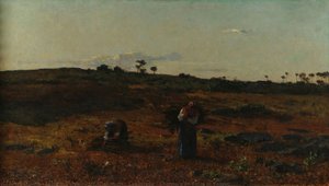 Landscape - Charneca de Belas at sunset