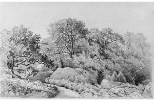 Landscape — David Johnson