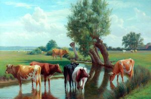 Cattle — William Sidney Cooper