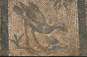 Mosaic Of Gallinule Before Conservation — Edwin C. Brock