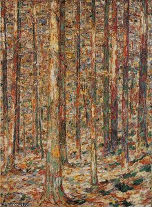 Kiefernstämme Im Sonnenlicht — Christian Rohlfs