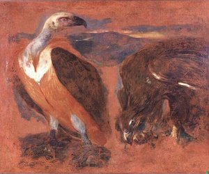 Un Vautour Et Un Aigle — Boel Pieter (boule), Dutch Golden Age
