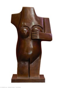 Torso fuerte