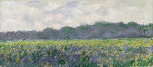 Field Of Yellow Irises At Giverny — Claude Monet