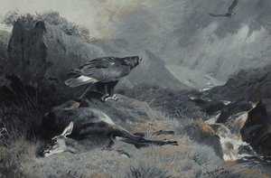The Dead Hind — Archibald Thorburn
