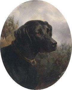 Hector — Carl Reichert