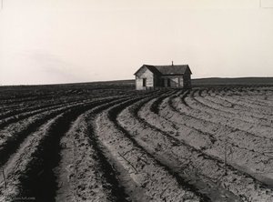 Tractored out, childress county, texas