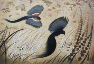Widow Birds — Keith Henderson