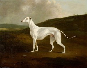 A Greyhound In A Landscape — Charles Henry Schwanfelder