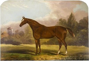 Chestnut Horse