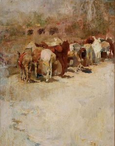 El Camino — José Navarro Llorens