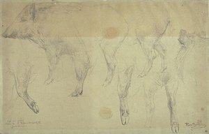 Seven Studies Of Female Wild Boar — Rosa Bonheur
