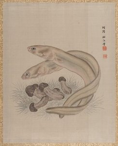 Eels — Seki Shūkō