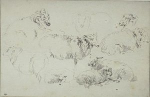 Study Of Nine Sheep — Nicolaes Pietersz Berchem