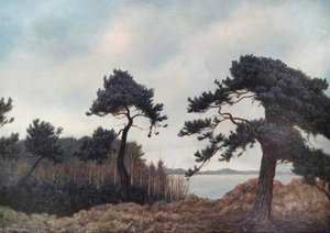 Evening by the Lake
