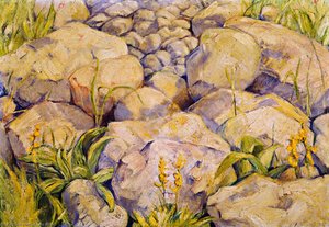 Large Study Of Stones — Franz Marc