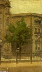 Plane Tree