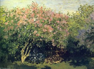 Untitled (4130) — Claude Monet