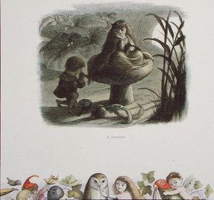 A Serenade