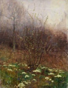 Summerhill — Benjamin Haughton