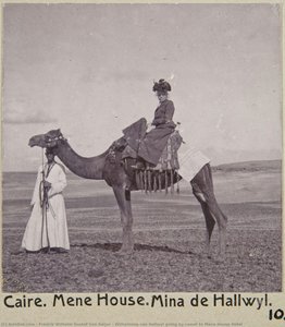 Wilhelmina Von Hallwyl Going By Camel To Mena House Hotel — Fredrik Wilhelm Gustaf Von Geijer