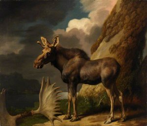 The Moose — George Stubbs