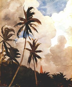 Palm Trees (bahamas) — Winslow Homer, Contemporary Realism
