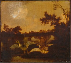 A Buzzard Attacks Two Ducks, Dirck Wijntrack, C. 1635 - C. 1678 — Dirck Wijntrack